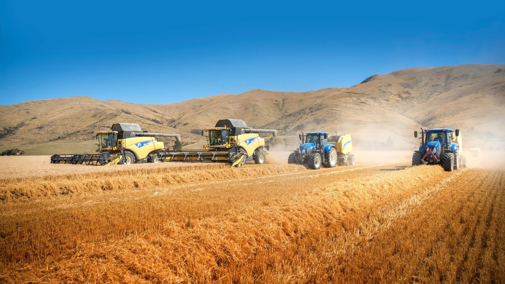 AgriBusiness