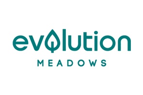 Evolution Meadows
