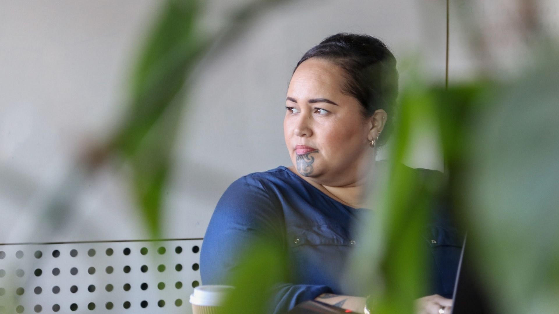 Te Ao Māori  