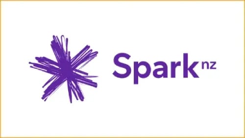 SparkNZLog