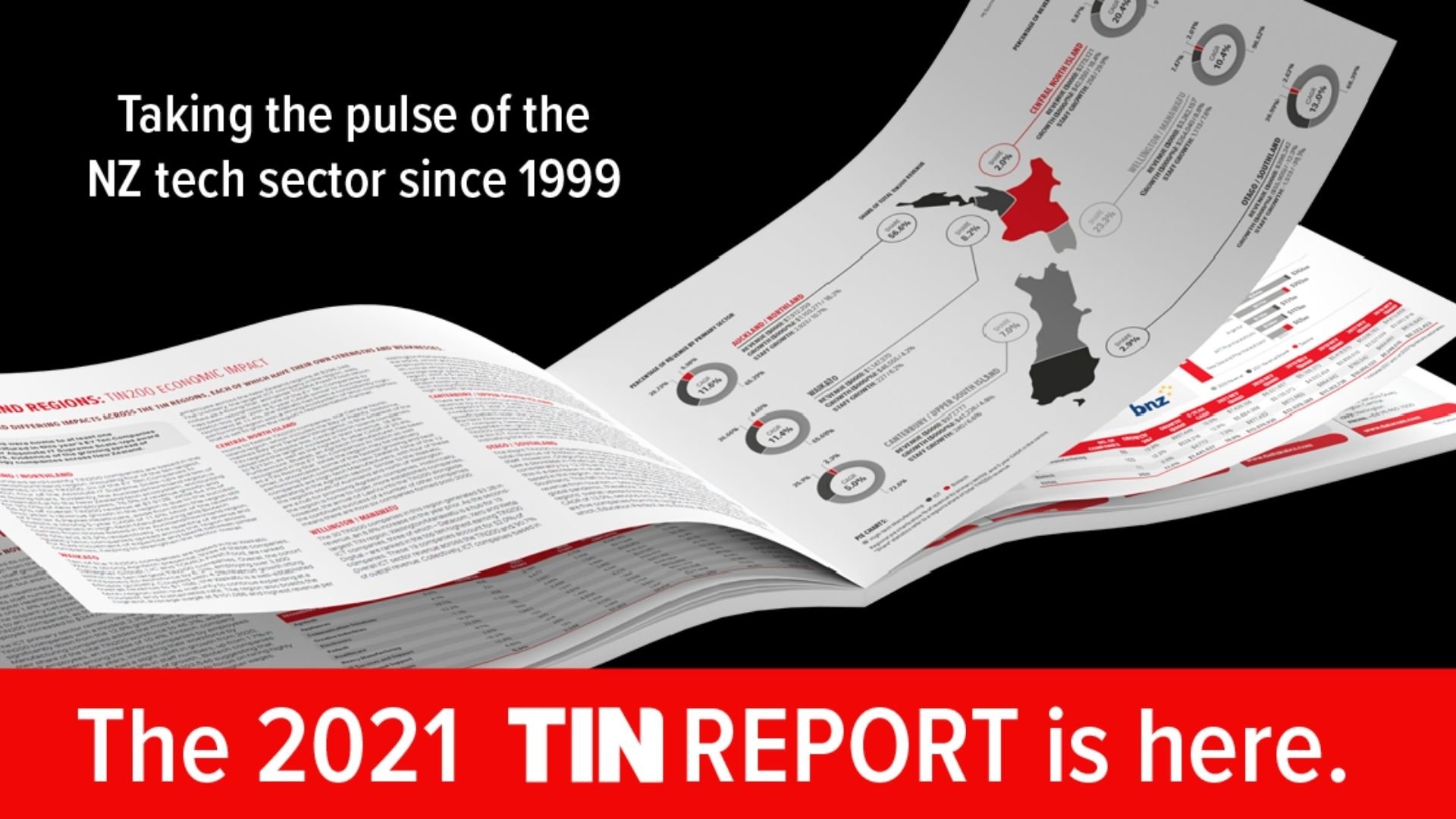 TIN report