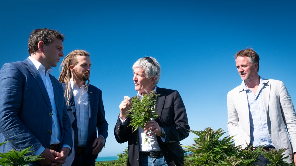 Puro’s big bet on organic cannabis and the Icehouse push that set Tim Aldridge’s path