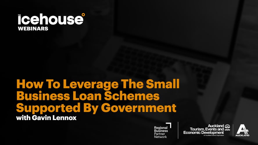 Leverage Government Small Business Loan Schemes
