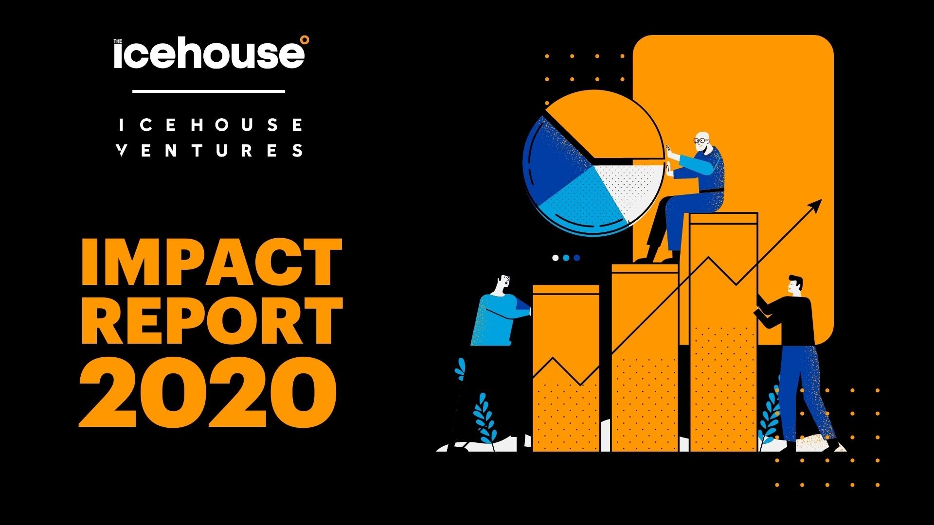 Impact Report 2020 